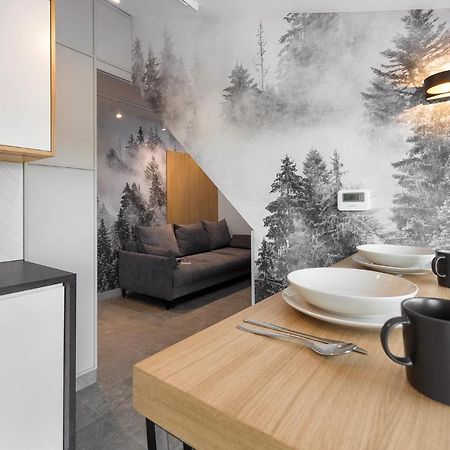 Tatra Apartament Na Jaszczurowce 자코파네 외부 사진